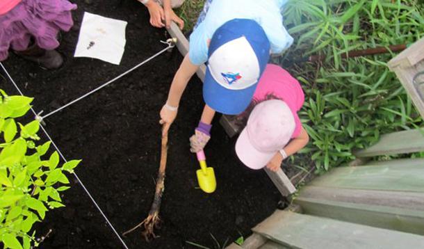 Gardening With Toddlers