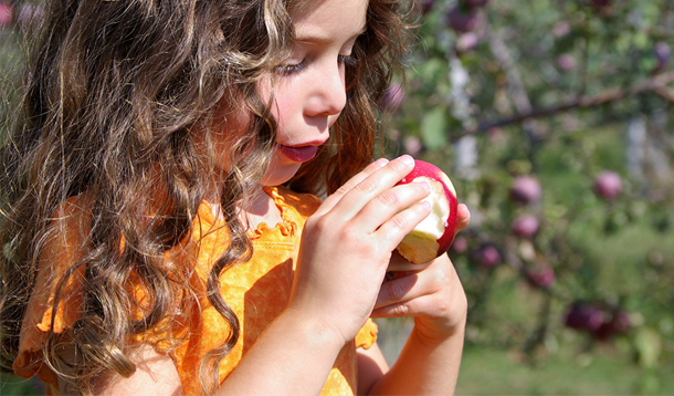 Top Ten Tips For Apple Picking With Kids :: YummyMummyClub.ca