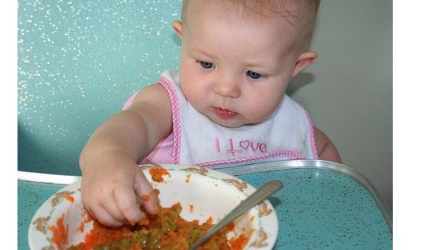 Make Your Own Baby Food Yummymummyclub Ca