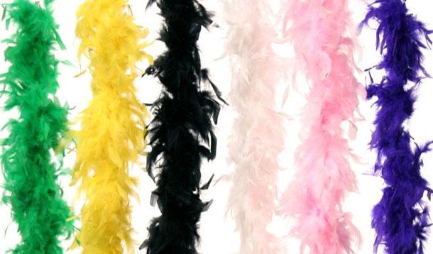 RECALL: Feathered Boas From Danson Decor And Michaels