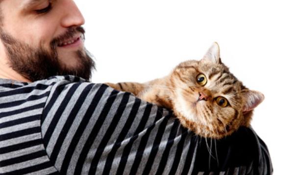 A groundbreaking new survey says owning a cat is considered to be lady-loving kryptonite. | Relationships | YummyMummyClub.ca