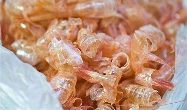 Do This With Your Shrimp Shells :: YummyMummyClub.ca